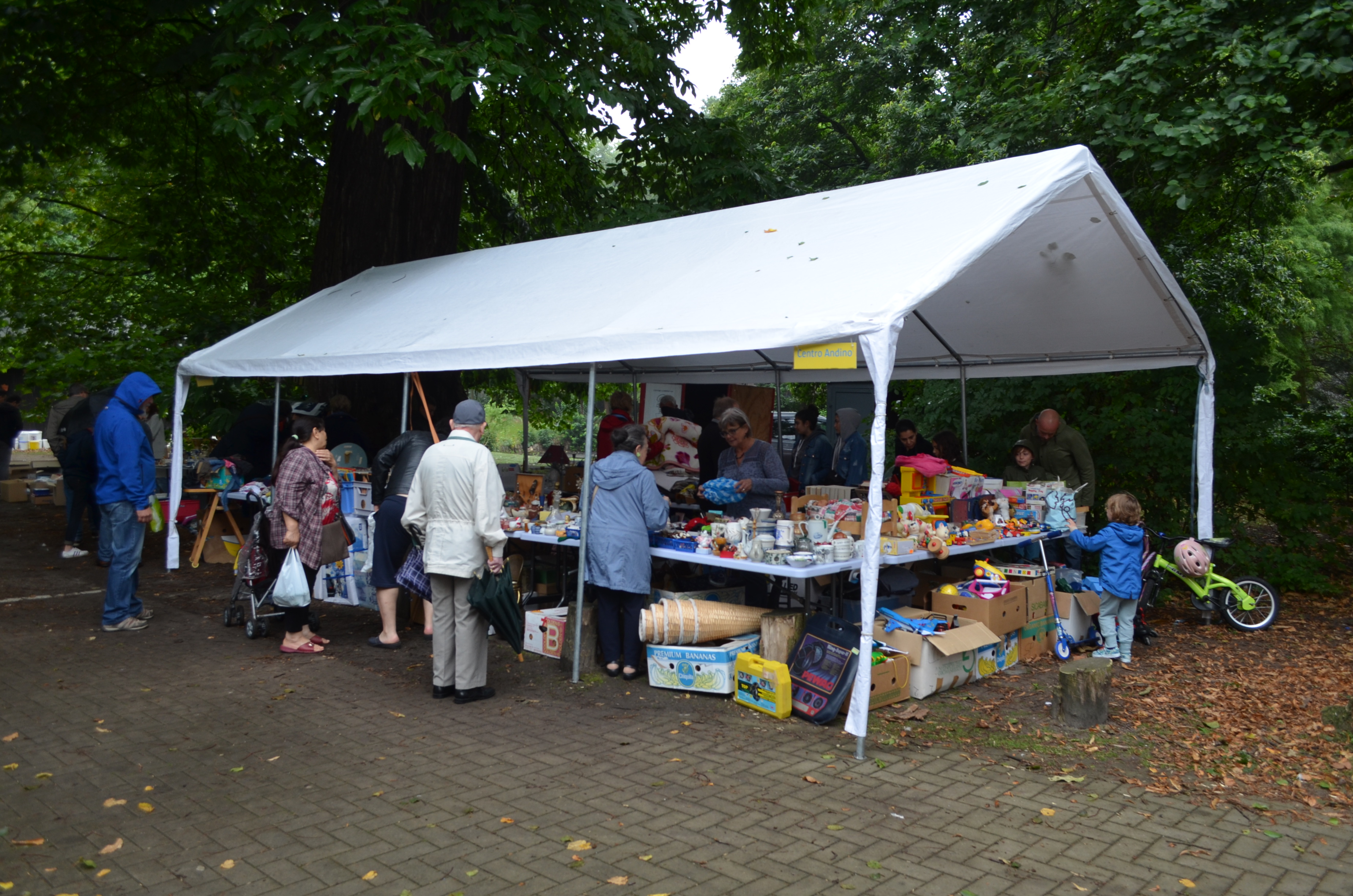 foto_rommelmarkt_Ieperman
